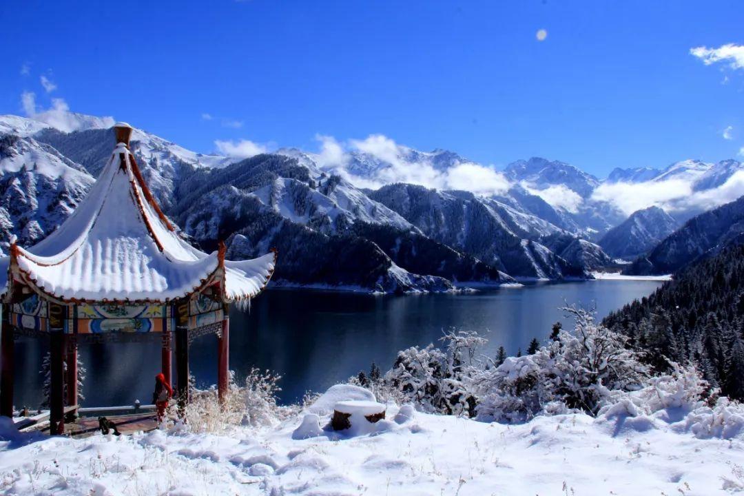 全民剧本大师内置菜单